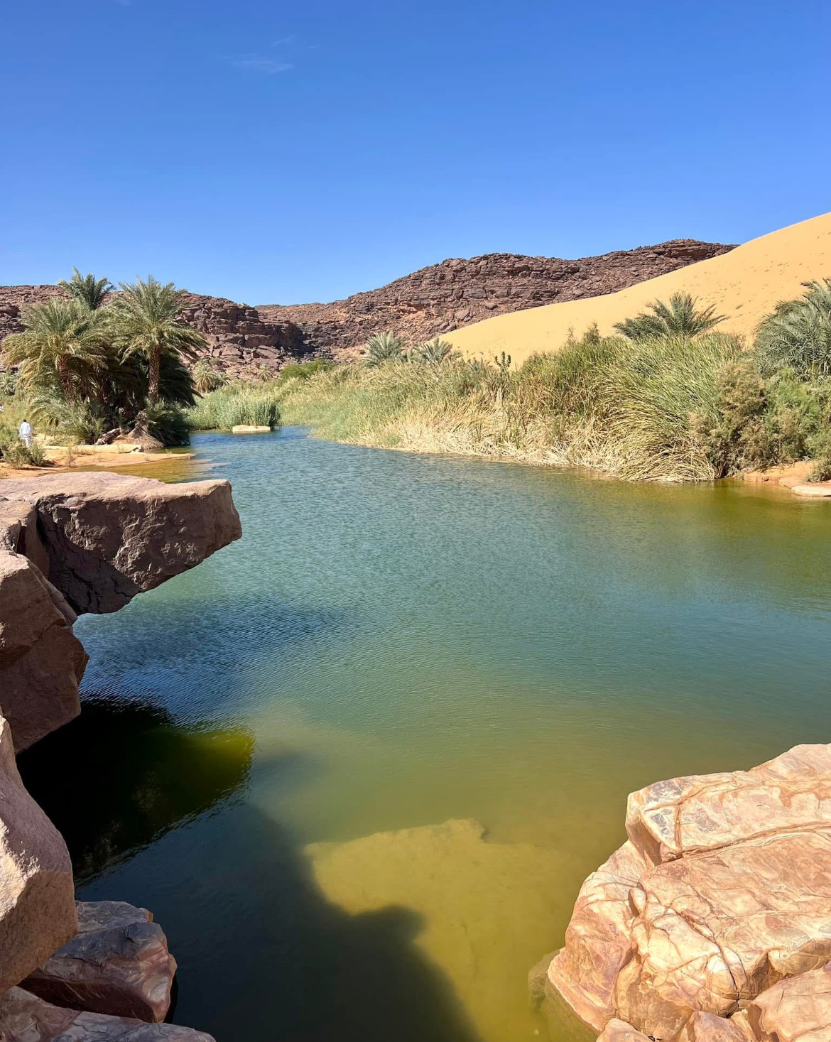 Terjit Oasis & Chinguetti
